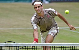 Halle mở rộng 2019: Federer vất vả đi tiếp, Berrettini gây bất ngờ