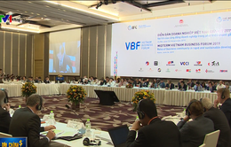 VBF giữa kỳ năm 2019: Doanh nghiệp chọn tăng trưởng bền vững