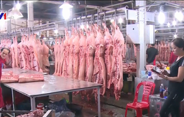 Việt Nam có thể thiếu 500.000 tấn thịt lợn