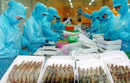 Xuất khẩu thủy sản: Gỡ “điểm nghẽn” thị trường Trung Quốc