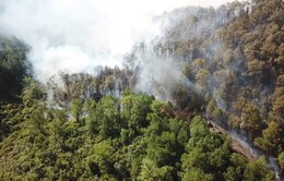 Cháy rừng ở Hồng Lĩnh đang bùng phát trở lại
