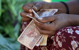 Các nước Tây Phi chuẩn bị đưa đồng tiền chung vào lưu thông