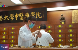 Bệnh viện Trung Quốc kết hợp đông y điều trị ung thư