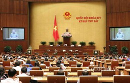Phó Thủ tướng Trương Hoà Bình: Không làm oan, không có vùng cấm khi xử lý gian lận thi cử