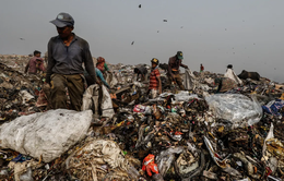 Báo động núi rác tại New Delhi (Ấn Độ) sắp cao hơn 70m