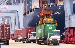 Gỡ nút thắt hạ tầng logistics tại các cảng biển