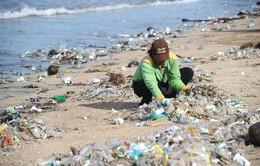 Nguy cơ những vùng "biển chết" bởi rác thải nhựa