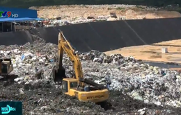 Trộn chất thải nguy hại vào chất thải sinh hoạt để chôn lấp