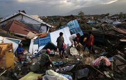 Sơ tán khẩn cấp hàng trăm người do động đất tại Indonesia