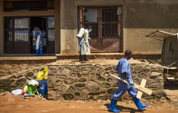 WHO tuyên bố dịch Ebola là vấn đề y tế khẩn cấp toàn cầu