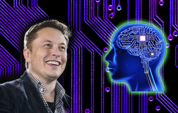 Elon Musk muốn cấy chip vào não người và kết nối với smartphone