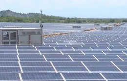 Hơn 4.460 MW điện mặt trời đã hòa lưới điện quốc gia
