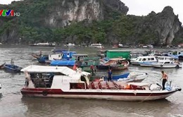 Quảng Ninh: Tàu cá va chạm tàu cao tốc, 2 người bị thương