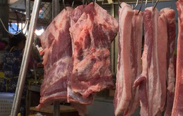 Điều tra việc cấp phép lô thịt lợn nhiễm bệnh ở Long An