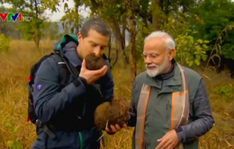 Thủ tướng Ấn Độ tham gia show truyền hình thám hiểm hoang dã