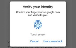 Google giúp người dùng không phải lo lắng về việc nhớ mật khẩu