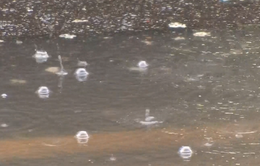 Phát hiện hạt nhựa siêu nhỏ trong nước mưa