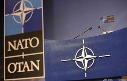 NATO cam kết phản ứng thận trọng thời kỳ hậu INF