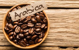 Giá cà phê Arabica và Robusta quay đầu giảm