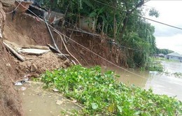 Công bố tình huống khẩn cấp sạt lở bờ sông Hậu đoạn qua xã Châu Phong