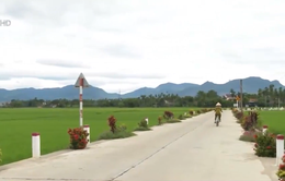 Nghĩa Hành trở thành huyện đầu tiên của Quảng Ngãi về đích nông thôn mới