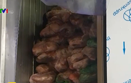 Phạt hơn 100 triệu đồng cơ sở bán thịt lợn ôi thiu