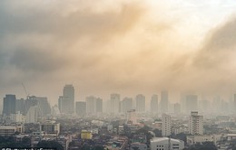 Ô nhiễm không khí đang khiến con người trở nên bạo lực?