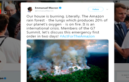 Cháy rừng Amazon: Người nổi tiếng "share" nhầm ảnh