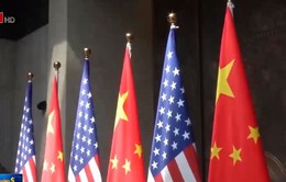 Đàm phán thương mại giữa Mỹ - Trung Quốc sẽ "sớm được nối lại"