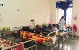 Phú Yên: Số ca mắc sốt xuất huyết tăng 5,6 lần