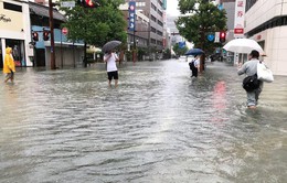 Gần 1 triệu người dân Nhật Bản phải sơ tán khẩn cấp do mưa lũ lịch sử