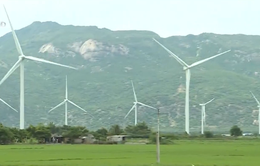 Nhu cầu năng lượng của Việt Nam tăng bình quân 6,7% trong thập kỷ tới