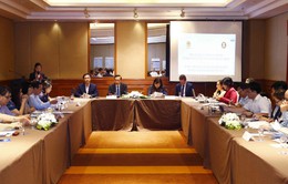 Tham vấn quốc gia về đánh giá triển khai Kế hoạch công tác Sáng kiến Hội nhập ASEAN giai đoạn III