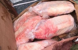 Tiêu hủy hơn 1 tấn thực phẩm đông lạnh nhập lậu tại Lào Cai