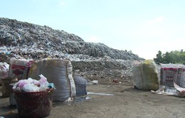 Cần Thơ có phương án xử lý bãi rác ô nhiễm