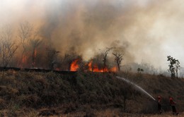 Thời tiết khô nóng ảnh hưởng đến nỗ lực dập lửa rừng Amazon
