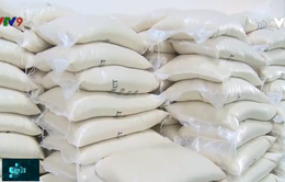 Doanh nghiệp xuất khẩu gạo lên sàn chứng khoán