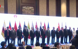 Thúc đẩy hợp tác kinh tế ASEAN và các nước Đông Bắc Á