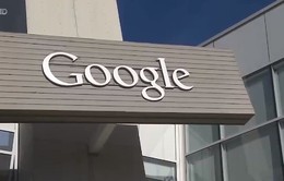 Google bị 50 bang của Mỹ điều tra chống độc quyền