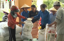 Xuất cấp gạo dự trữ quốc gia hỗ trợ người dân Quảng Bình