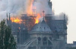 Nhiễm độc chì nghiêm trọng xung quanh Nhà thờ Đức Bà Paris