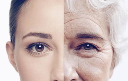 Giới khoa học Mỹ tình cờ đảo ngược được quy trình lão hóa