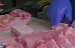 Trung Quốc nỗ lực bình ổn thị trường thịt lợn
