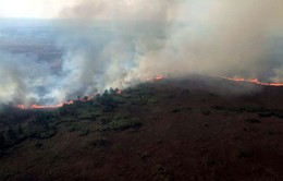 Brazil triển khai trực thăng kiểm soát cháy rừng Amazon