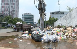 Những bãi rác tự phát ở TP.HCM