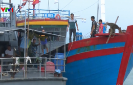 Nghệ An cứu thành công tàu cá và 7 ngư dân gặp nạn