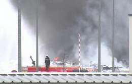 Pháp cấm thu hoạch vụ mùa tại khu vực cháy nhà máy hóa chất