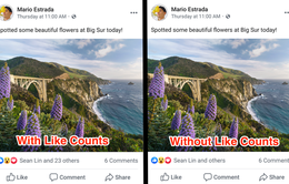 Facebook bắt đầu ngừng hiện số lượng Like, người dùng chán nản