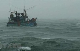 Nỗ lực tìm kiếm ngư dân mất tích trên biển Quảng Bình