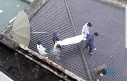Nghệ An: Bệnh nhân tử vong khi rơi từ tầng 7 của bệnh viện